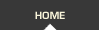 menu-home