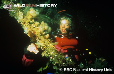 Martha Holmes diving on a wreck