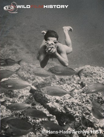 Hans Hass underwater with camera