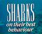 Sharks:  On Their Best Behaviour