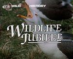 Wildlife Jubilee: Safari guides of the television age