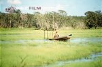 Flooded Bilabong 2