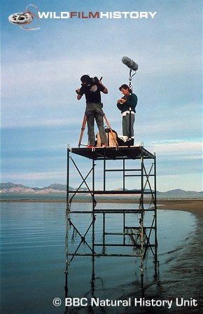 Mike deGruy filming for Sharks: On Their Best Behaviour