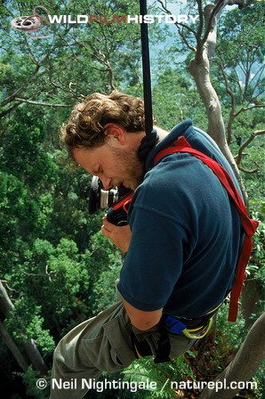 Richard Kirby filming high in the rainforest for The Private Life of Plants