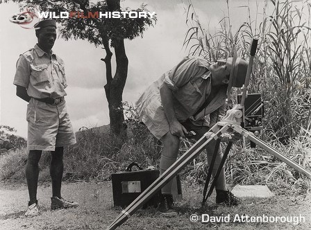 Charles Lagus filming army ants