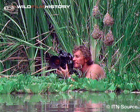 Life as a wildlife camera team