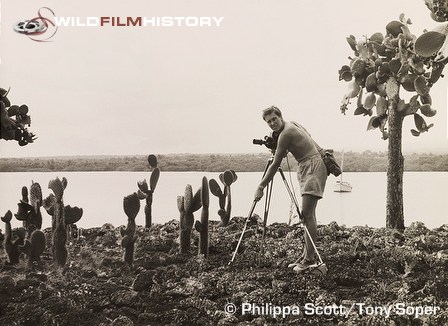 Tony Soper filming Opuntia cactus in the Galapagos Islands for Faraway Look: Galapagos