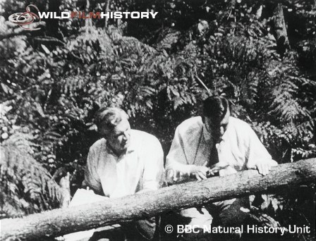 Eric Skinner and Gerald Thompson during filming for The Alder Woodwasp and its Insect Enemies