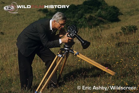 Eric Ashby filming pyramidal orchid