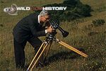 Eric Ashby filming pyramidal orchid