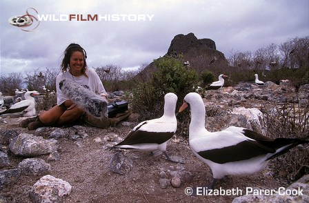 Recording vampire finches and boobies