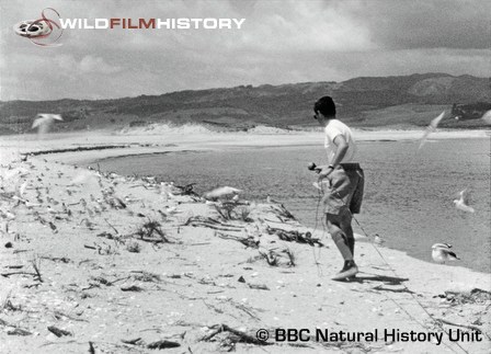 Charles Lagus filming at tern colony for Faraway Look