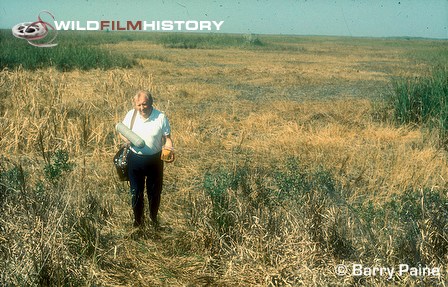 Sound recordist in Florida