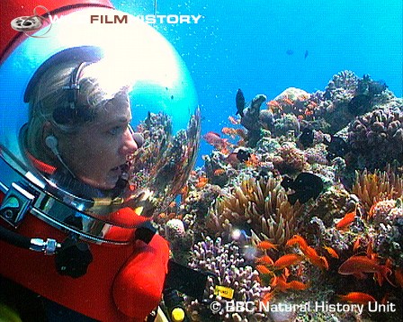 Beautiful concentrated reefs