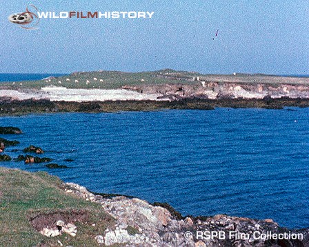 Life on Bardsey Island