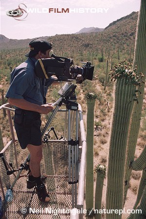 Filming saguaro cactus flowers for The Private Life of Plants