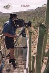 Filming saguaro cactus flowers for The Private Life of Plants