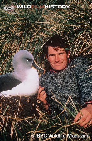 Alistair Fothergill with albatross on nest