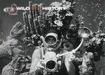 Hans Hass filming underwater