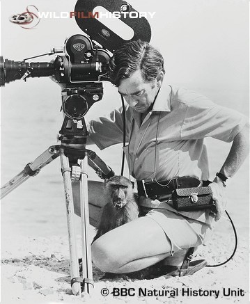 Hugo van Lawick during filming for The Baboons of Gombe 