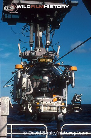 Crew being lowered into sea in submersible for filming of The Blue Planet