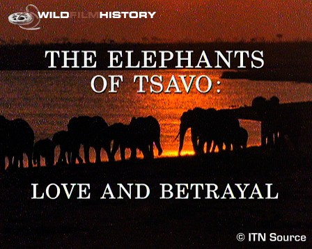 Heartbeat and soul of Tsavo