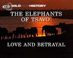 Heartbeat and soul of Tsavo