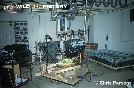 Early macro studio used in the filming of Life on Earth