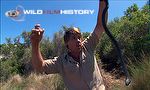 The Ten Deadliest Snakes in the World with Steve Irwin: Tasmania - crawling with snakes