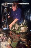 Alastair MacEwen using a snorkel lens in the studio tide pool for At the Edge of the Sea