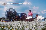 Neil Bromhall filming dandelion seeds for The Private Life of Plants 