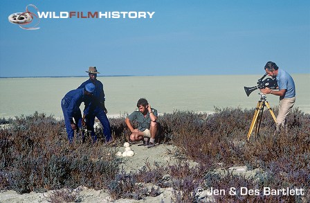 Des Bartlett filming ostrich eggs in nest