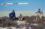 Des Bartlett filming ostrich eggs in nest