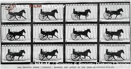 The trotting horse 'Occident' by Eadweard Muybridge