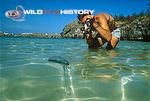 Peter Parks filming Portuguese man o' war