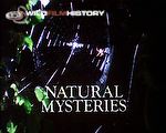 The Discovery of Animal Behaviour: Natural Mysteries : A natural drama in South America