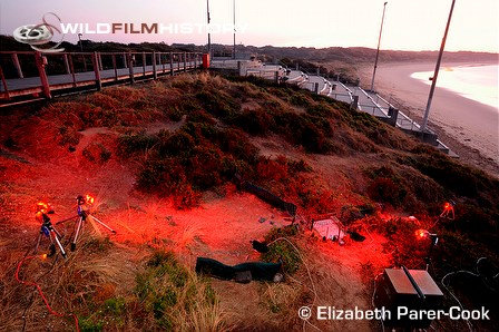 Filming for Penguin Island