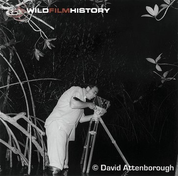 Charles Lagus filming in mangrove swamp