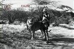 George Adamson during the filming of Christian the Lion