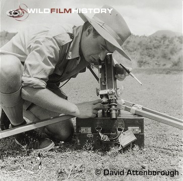 Charles Lagus filming driver ants