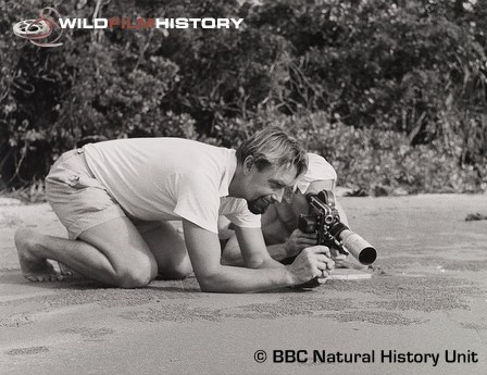 Hass and Lotte Hass filming small crabs on the beach