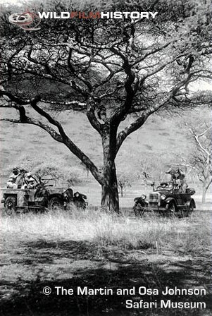 Martin Johnson and Carl Akeley's camera cars meet in Tanganyika, during filming for Simba