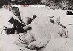 Heinz Sielmann with a turtle on a beach