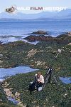 Alastair MacEwen filming seaweeds for At the Edge of the Sea