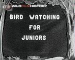 Bird Watching for Juniors: Egg collecting with juniors