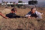 David Attenborough with Gavin Thurston filming grass for The Private Life of Plants