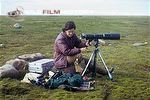 Jen Bartlett photographing on tundra