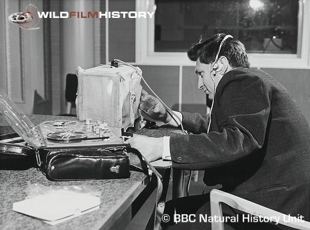 John F. Burton recording the sound of a grasshopper using a Nagra IIIb Tape Recorder and an illuminated cage