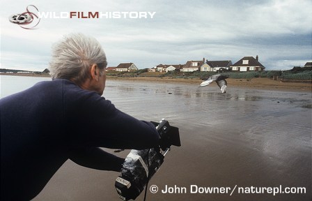 Alan Hayward filming an imprinted pigeon for In-Flight Movie