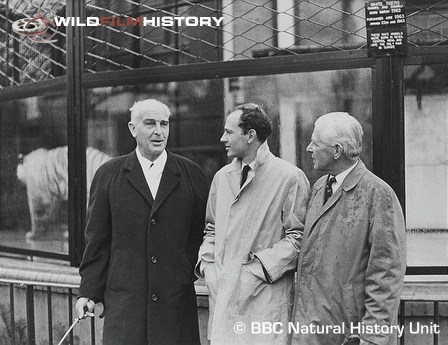 Director of Bristol Zoo, Reginald Greed (left), talks with Richard Brock (centre) and Bernhard Grzimek (right), Director of Frankfurt Zoo